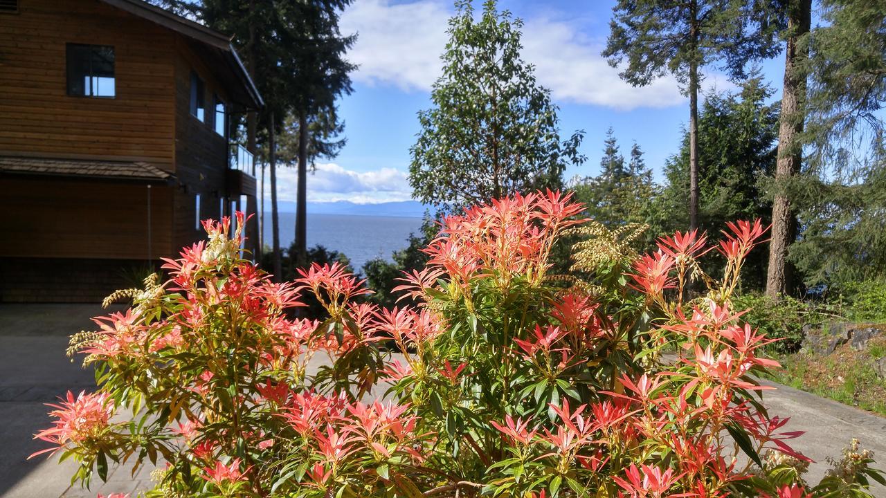 Sunshine Coast Treetop B&B Sechelt Exterior photo