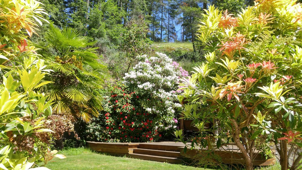 Sunshine Coast Treetop B&B Sechelt Exterior photo
