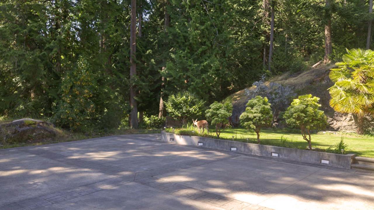 Sunshine Coast Treetop B&B Sechelt Exterior photo